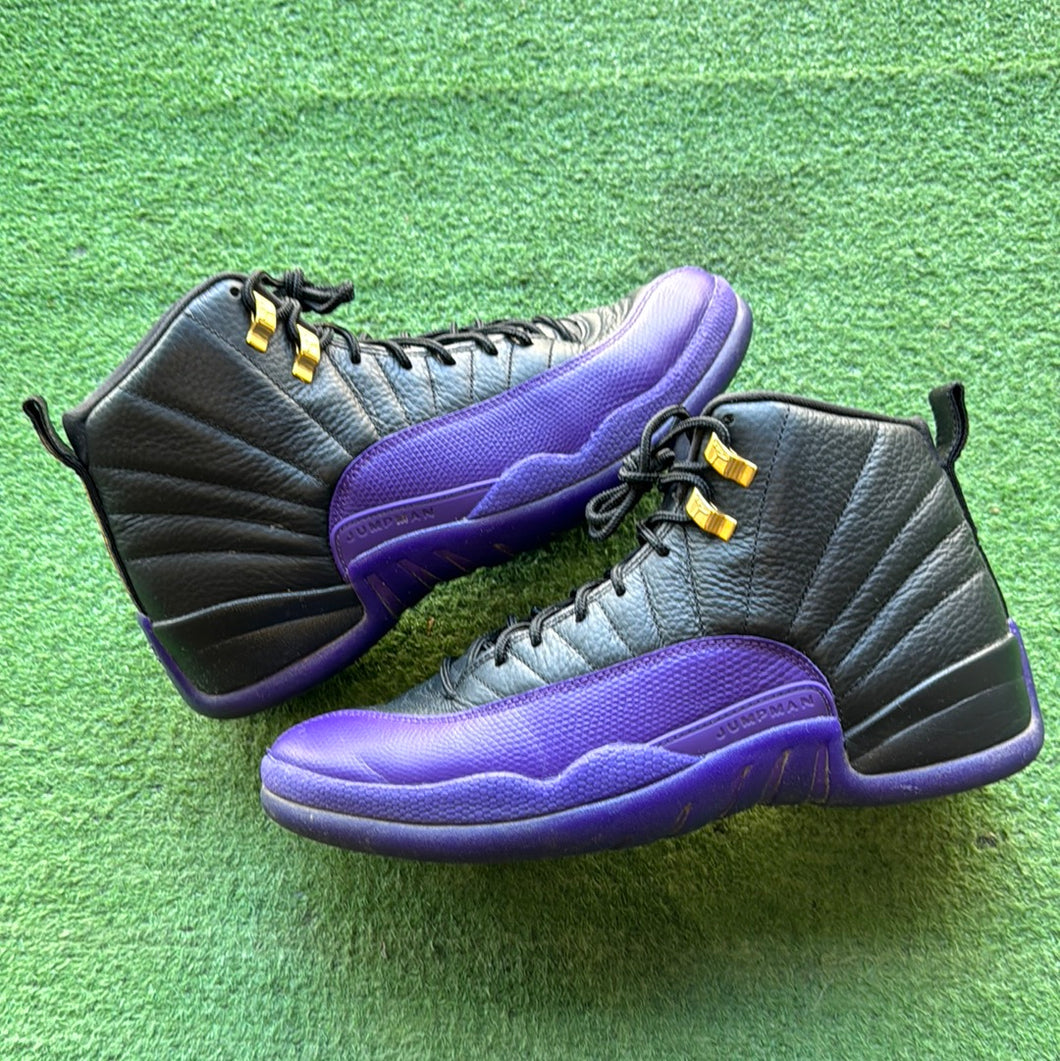 Jordan Court Purple 12s Size 10