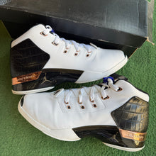 Load image into Gallery viewer, Jordan Copper 17s Size 11
